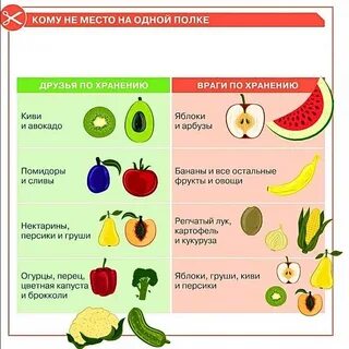 Для овощ фрукт какие документы нужно