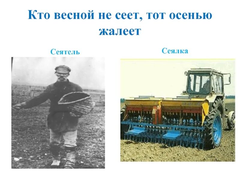 Трактор сеет. Сеялка в старину. Сеялка в колхозе. Сеют хлеб. Доски пилят пилой зерно сеют сеялкой