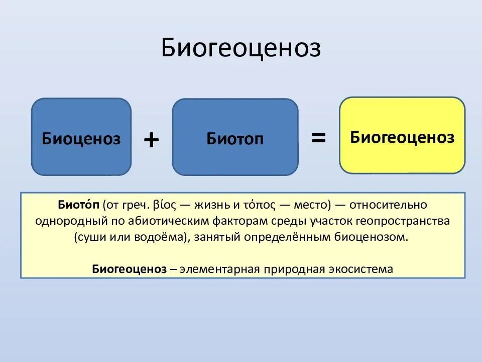 Понятие о биоценозе