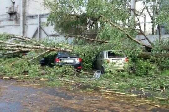 в саду эрмитаж упало дерево. последствия урагана в жк ромашки. страшный ураган в москве. ураган повалил деревья на машины в москве. ураган в москве 10 июля 2022.