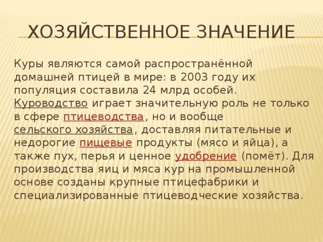 Курочка значение. Курочка значение