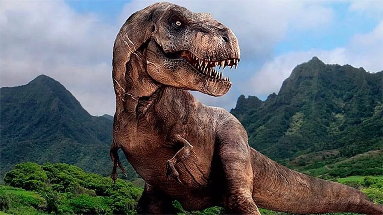 Jurassic t rex. Тирекс парк Юрского периода. Мир Юрского периода Тиранозавр. Тираннозавр ти рекс. Рекс Тиранозавр мир Юрского периода.