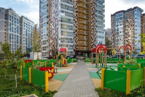Детская мелодия леса