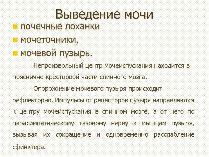 Механизм выведения мочи. Механизм выведения мочи кратко. Экскреция мочи. Рефлекторное выведение мочи.