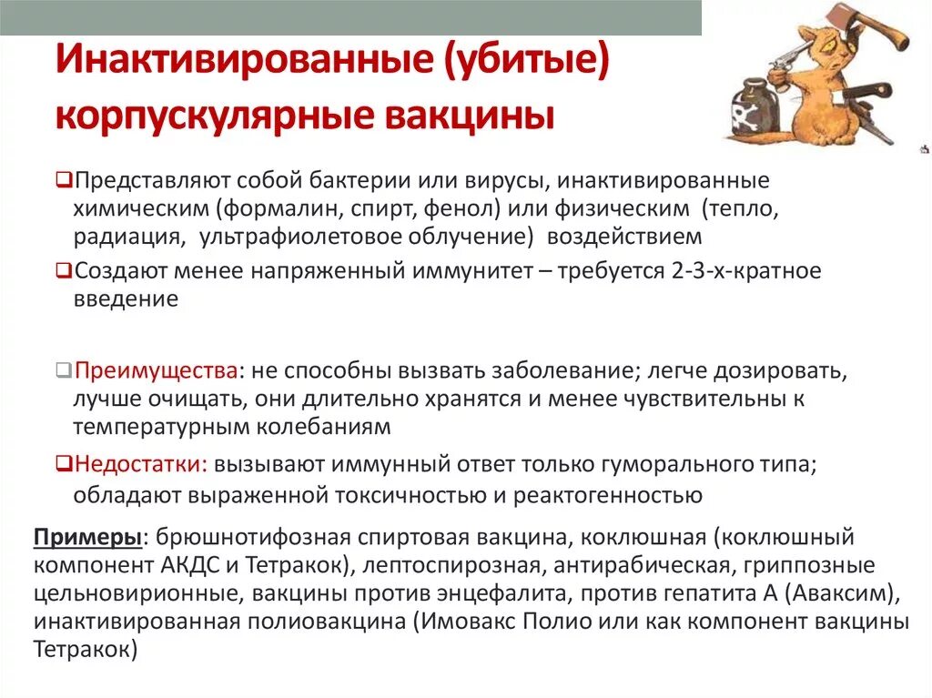 Механизмы развития иммунного ответа при вакцинации. Вирусные вакцины. Инактивированные корпускулярные вакцины. Примеры инактивированных вакцин. Инактивированные вакцины.
