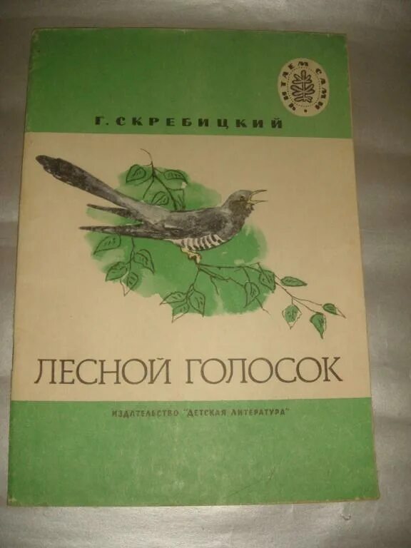 Текст лесной голосок. Г Скребицкий Лесной голосок иллюстрации. Скребицкий Лесной голосок обложка. Скребицкий фрагмент Лесной голосок.