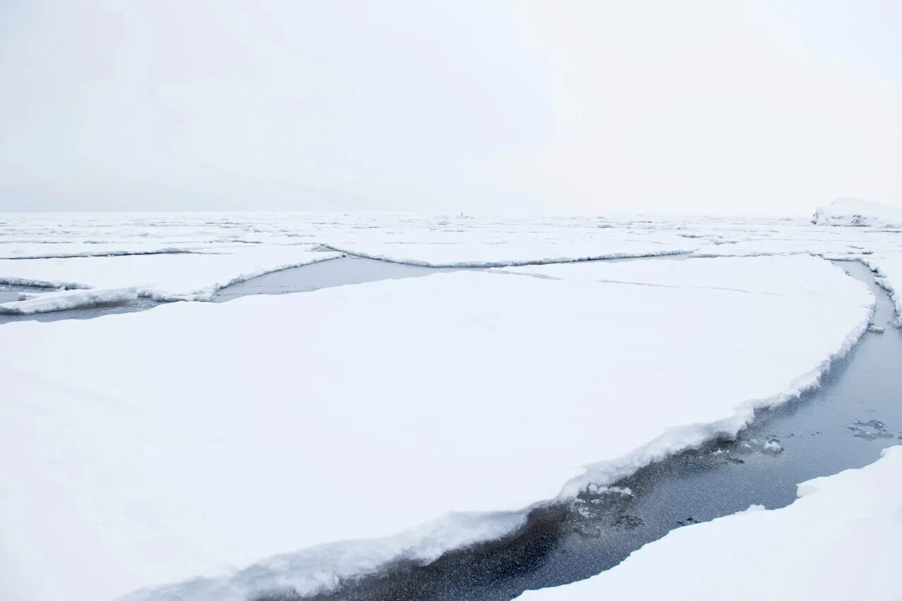 Торосы на Ладожском озере. Ледяные Торосы Охотского моря. Ледяные Торосы на финском заливе. Ледяные Торосы Рыбинка.