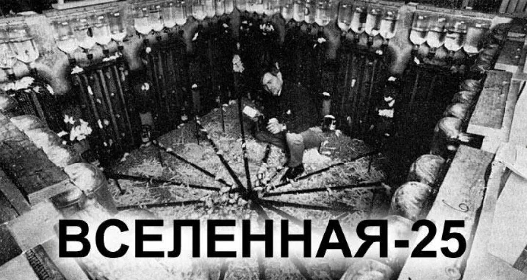 Эксперимент с мышами вселенная. Джона кэлхуна вселенная 25. вселенная 25 эксперимент мышиный рай. джон кэлхун эксперимент с мышами. эксперимент с мышами вселенная 25.