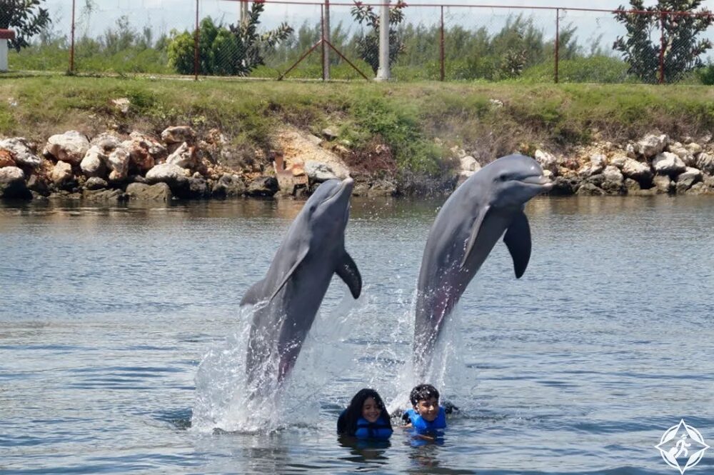 Дельфинарий варадеро. Дельфинарий на Кубе. Кайо Бланко дельфинарий. Дельфинарий на Кубе Кайо Коко.