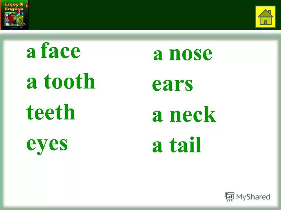 Lesson 23 3 класс. Английский язык третий класс рабочий тетрадь биболетова. Биболетова enjoy english. Lesson 23 3 класс. Lesson 23 3 класс.