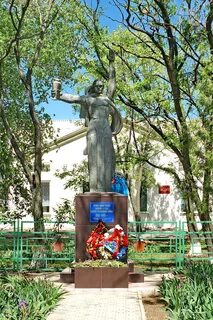 Мокрая ельмута пролетарский