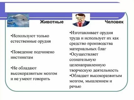 Чем отличается общество друг от друга