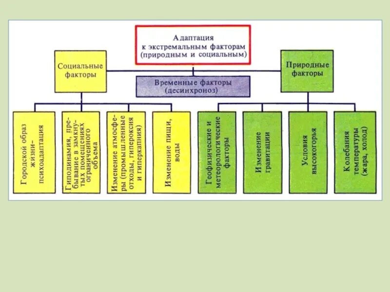 Схема уровни адаптации физиология. Виды, уровни и механизмы адаптации.. Уровни адаптации: физиологический, психический, социальный.. Адаптация виды и механизмы адаптации.