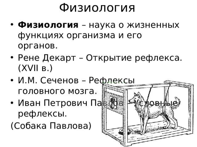 Открытие условных рефлексов Иваном Петровичем Павловым. Павлов условный рефлекс.