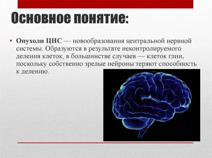 Опухоли нервной системы клинические рекомендации