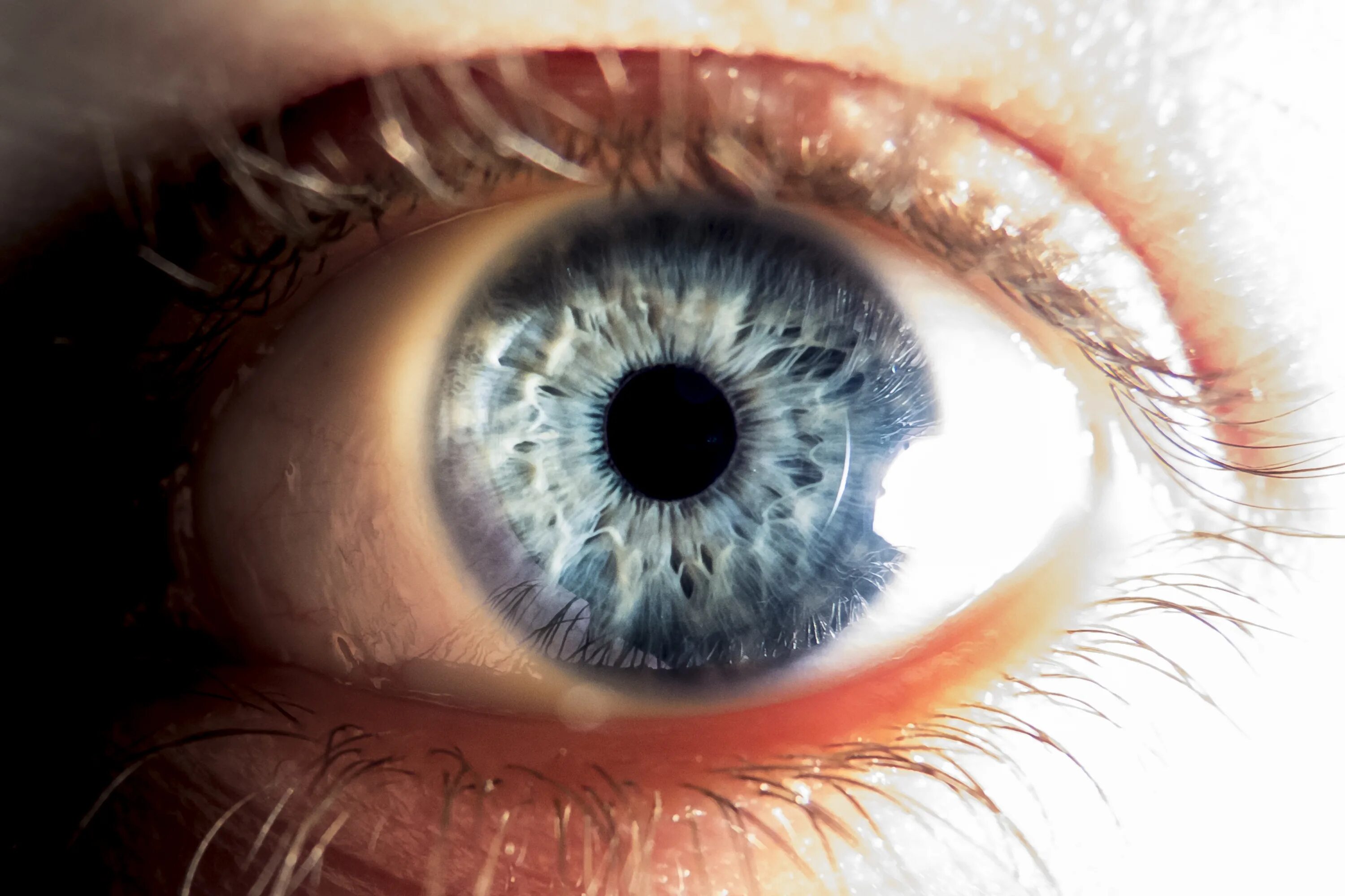 Чуждый взгляд. Человеческий глаз. Текстура глаза человека. Голубые глаза Радужная оболочка. Текстура зрачка.