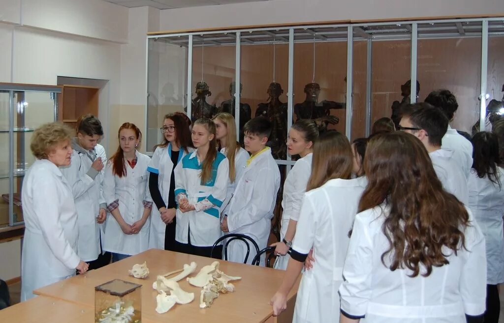 Преподаватели кафедры анатомии. Кафедра анатомии агму. агму кафедра анатомии преподаватели. высоцкий агму профессор. амурская государственная медицинская академия.