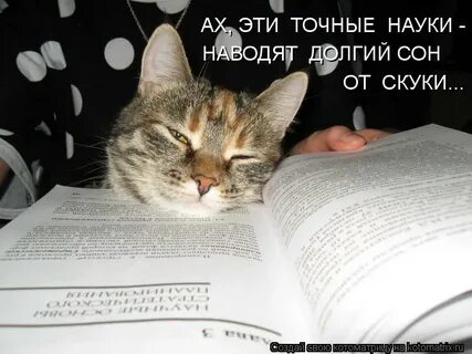 Предложения от скуки