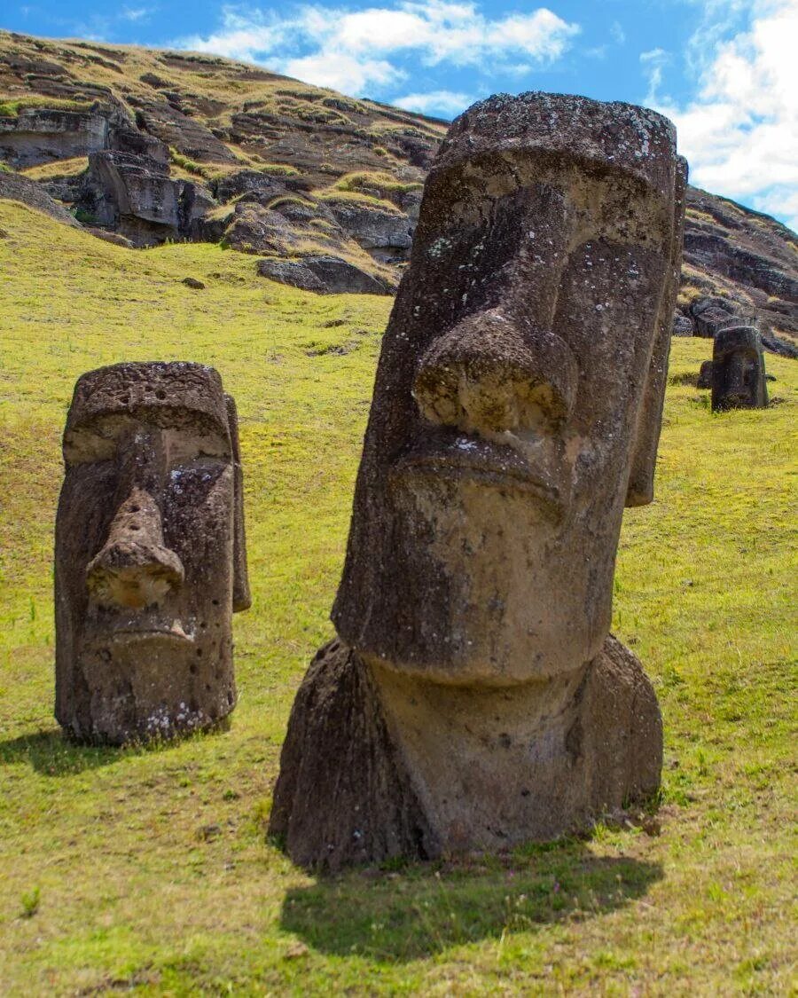 Каменные идолы. Остров Пасхи статуи Моаи. Моаи на острове Пасхи. Каменные истуканы острова Пасхи. Национальный парк Рапануи.