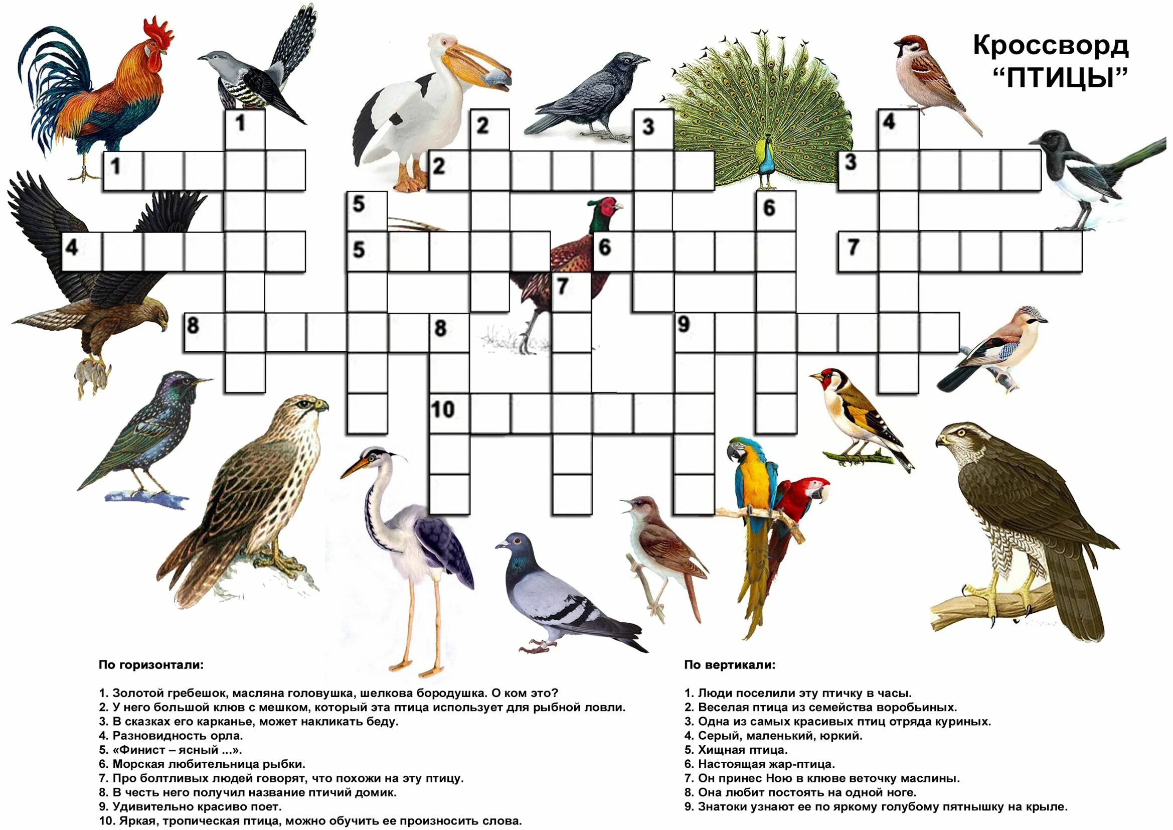 Кроссворд по классу птицы. Кроссворды по теме зимующие птицы. Кроссворд про птиц для детей. Кроссворд зимующие птицы. Птицы задания для дошкольников.