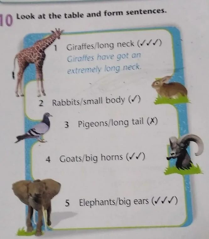 Elephants have got или has got big Ears. Giraffe has got a long Neck. Why Rabbits have got long Ears сказка. A Giraffe has got a long Neck упражнения.