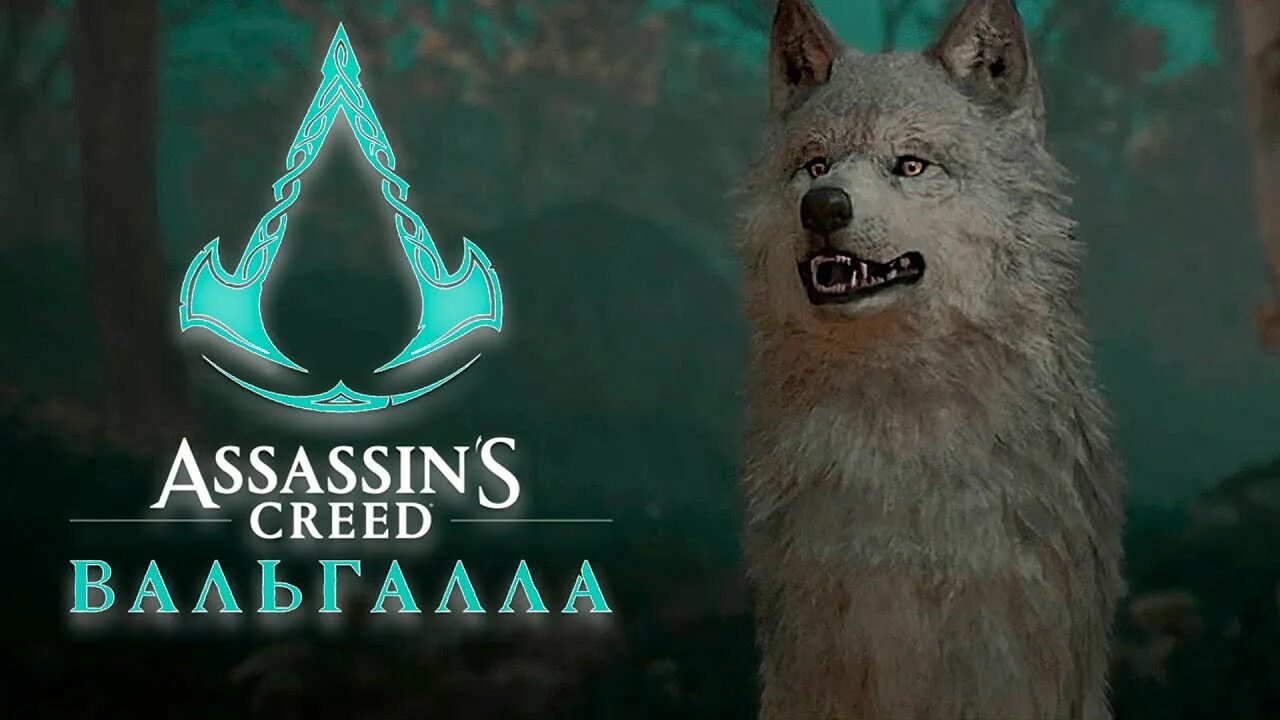 Assassin s creed valhalla прохождение. Ассасин крид вальгалла сволка. ассасин крид вальхалла лиса. ассасин вальгалла собака. assassin&#039;s creed valhalla волк маунт.