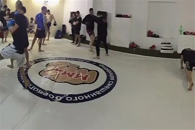 Спарта бойцовский