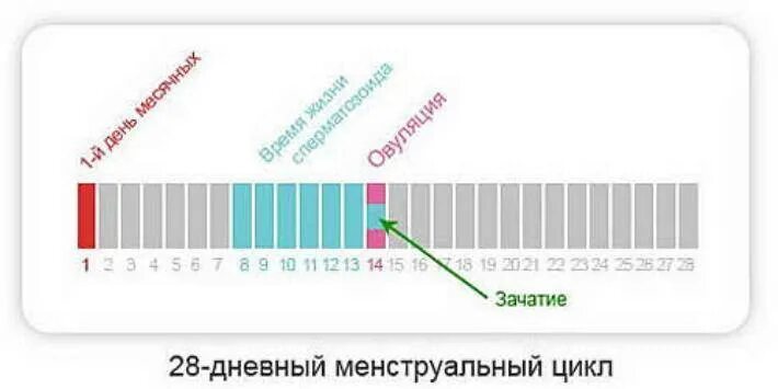 Второй месяц не могу забеременеть