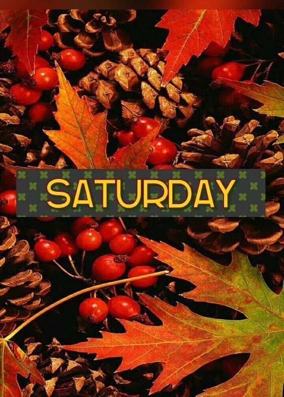 On saturday afternoon. Happy autumn Saturday. Happy Saturday in autumn. Good morning autumn картинки. Good afternoon in autumn.