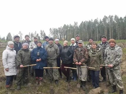 Лхр лесничества