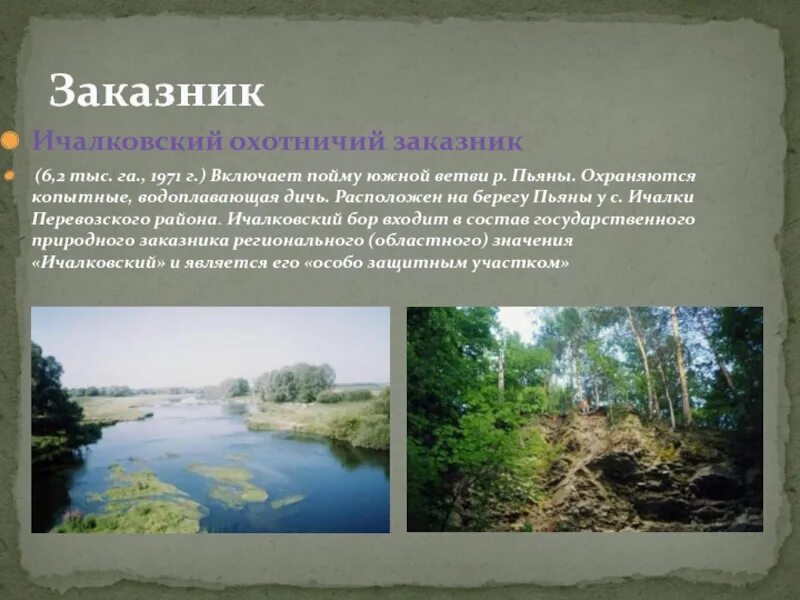 Благородные олени налибокская пуща. Качалинский» государственный охотничий заказник. Охотничий заказник. Охотничий заказник «дудачный». Охотничий заказник.