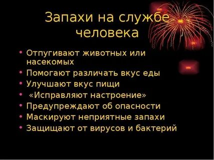 Запах службы