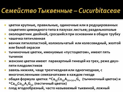 Семейство тыквенные