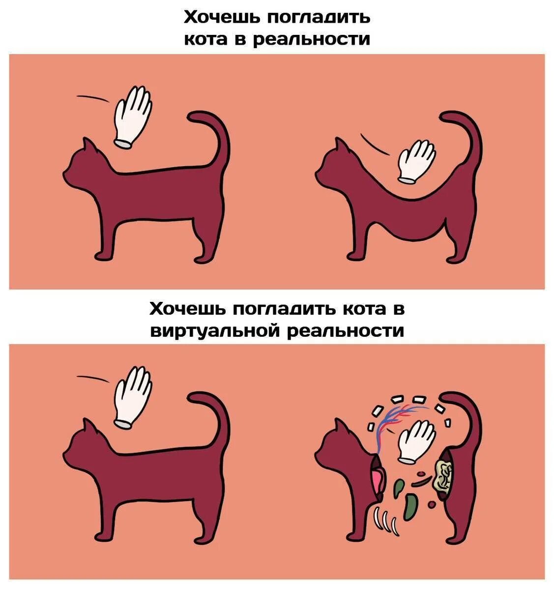 Как правильно гладить кошку. Как гладить кошку. как правильно гладить кота. где можно гладить кошку. как приятно погладить кота.
