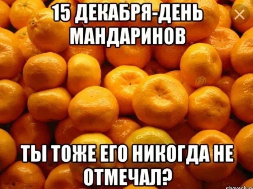 Мандарины шампус надо доставать поднимайтесь