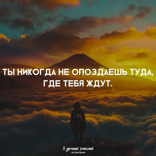 Никогда не возвращайтесь туда где. Там, где тебя ждут. Жду тебя цитаты. Туда где тебя ждут. Там, где нас не ждут/МФ.