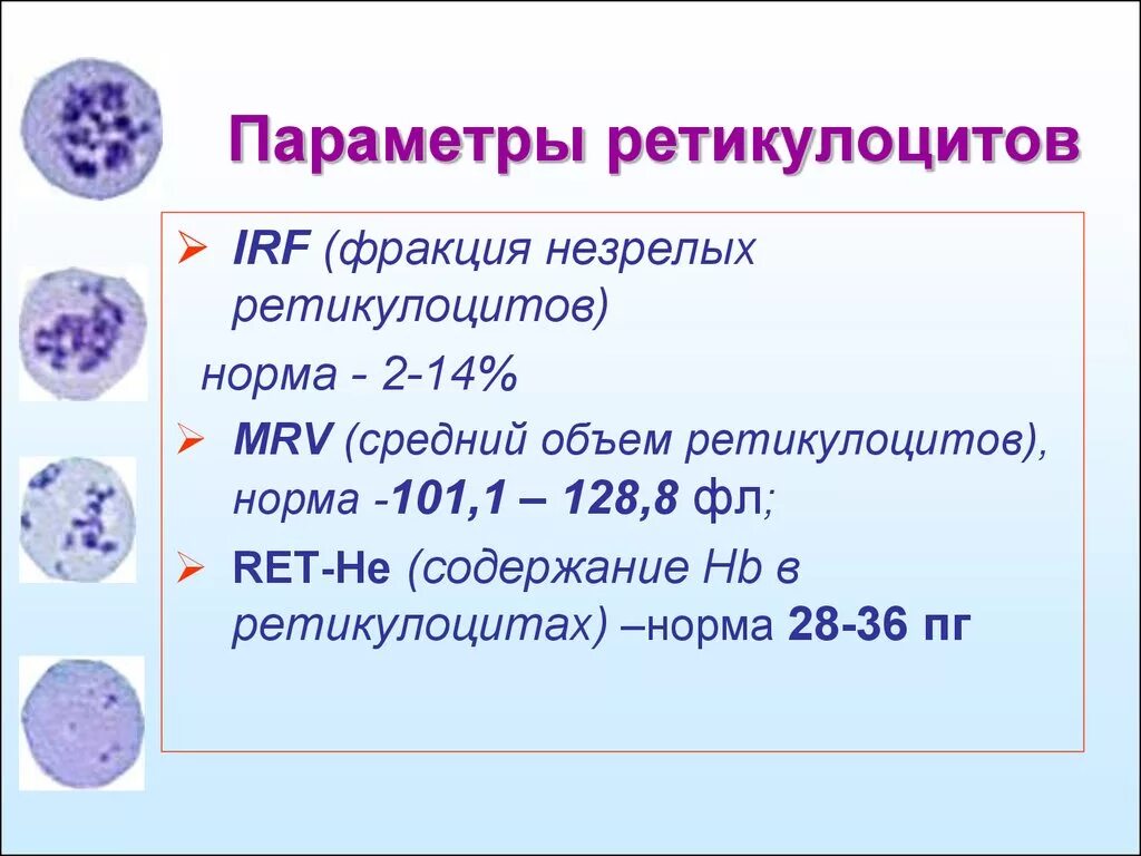 Ретикулоциты повышены у мужчины. Ретикулоциты микроскопия норма. Стадии зрелости ретикулоцитов. Нормальные показатели ретикулоцитов периферической крови в %. Фракция незрелых ретикулоцитов.