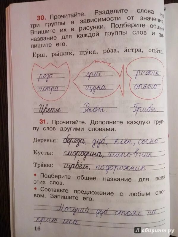 Прочитай специально написанный текст запиши его обозначь. Прочитайте дополните каждую группу слов другими словами. русский рабочая тетрадь страница 16. прочитайте разделите слова на три группы. дополните каждую группу слов 2 класс.