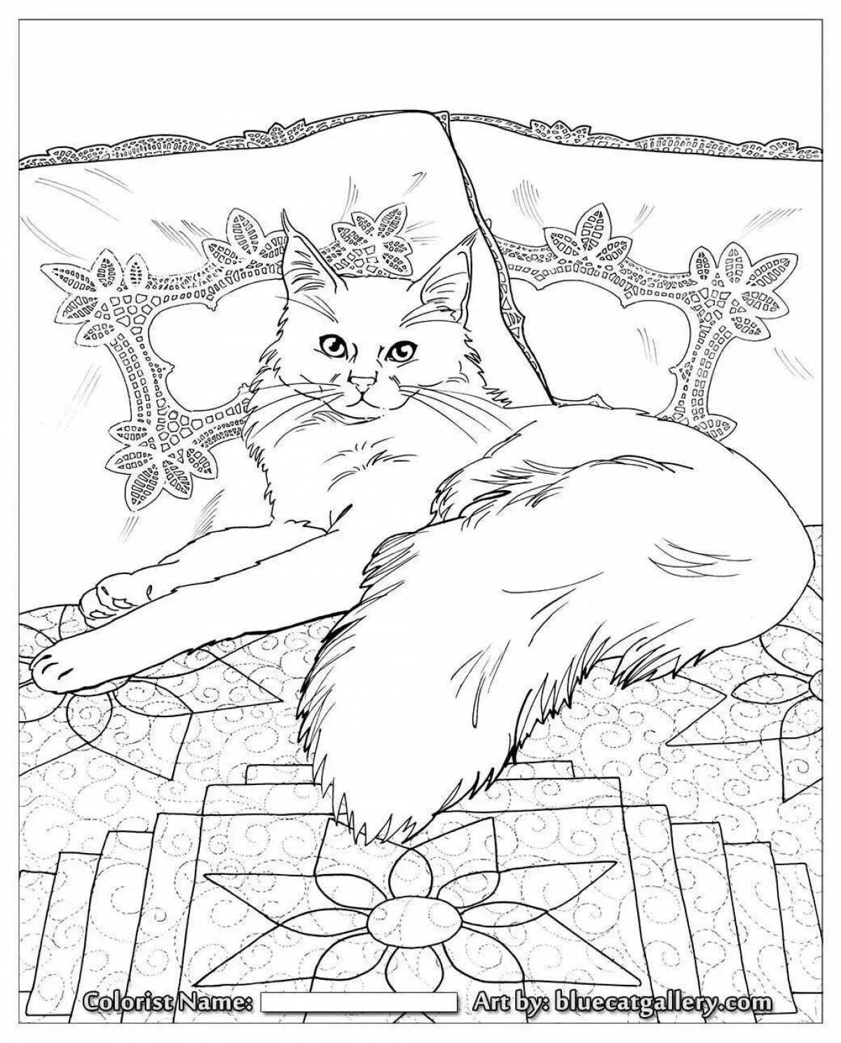 Красивая раскраска котиков. Раскраски красивые котики. кошка раскраска красивая. раскраски сложные и красивые кошки. раскраски для взрослых кошечки.