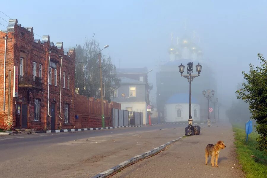 Город Павлово Нижегородской области. Павлово на Оке Нижегородская область. Город Павлово на Оке. Павлов город в Нижегородской области. Сайты г павлово