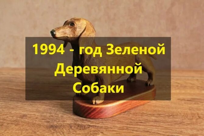 1994 какие люди. Год деревянной собаки. Год зеленой деревянной собаки. Китайский гороскоп деревянная собака. Год деревянной собаки 1994.