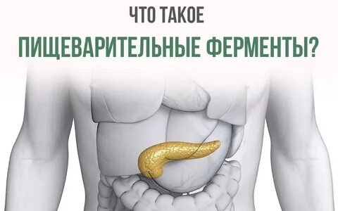 Ферменты для пищеварения