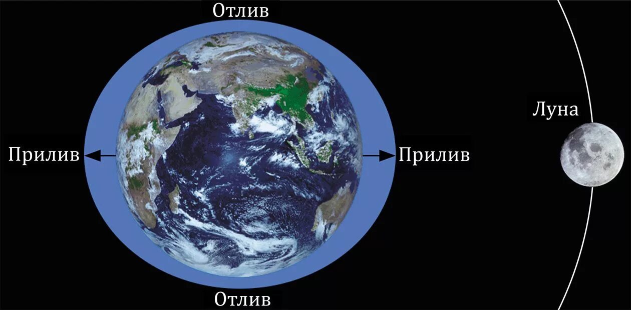 Почему происходят приливы и отливы. Приливы и отливы влияние Луны. Земля Луна отлив прилив схема. Приливы и отливы влияние Луны схема. Влияние Луны на приливы и отливы на земле.