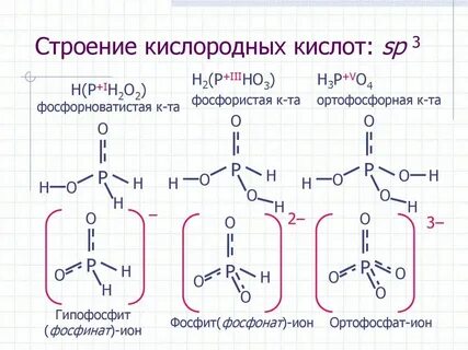 5 кислот в химии