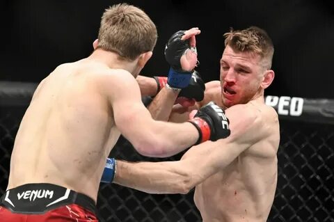 Кард ufc 2024