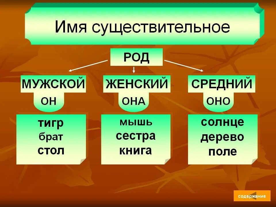 Системы какой род. Средний род имен существительных. Мужской женский средний род. Имена существительные среднего рода. Мужской средний женский род имен существительных.