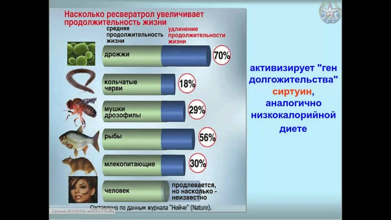 Увеличение продолжительности жизни геншин. Ресвератрол в продуктах питания. Ресвератрол в продуктах таблица. Увеличение продолжительности жизни животных. Организмы по продолжительности жизни.