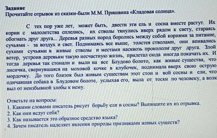 Кладовая солнца отрывок. Кладовая солнца отрывок о сосне и ели. Отрывок из Пришвина кладовая солнца. Кладовая солнца пришвин сосна и ель. Сочинение рассуждение человечность по тексту пришвина