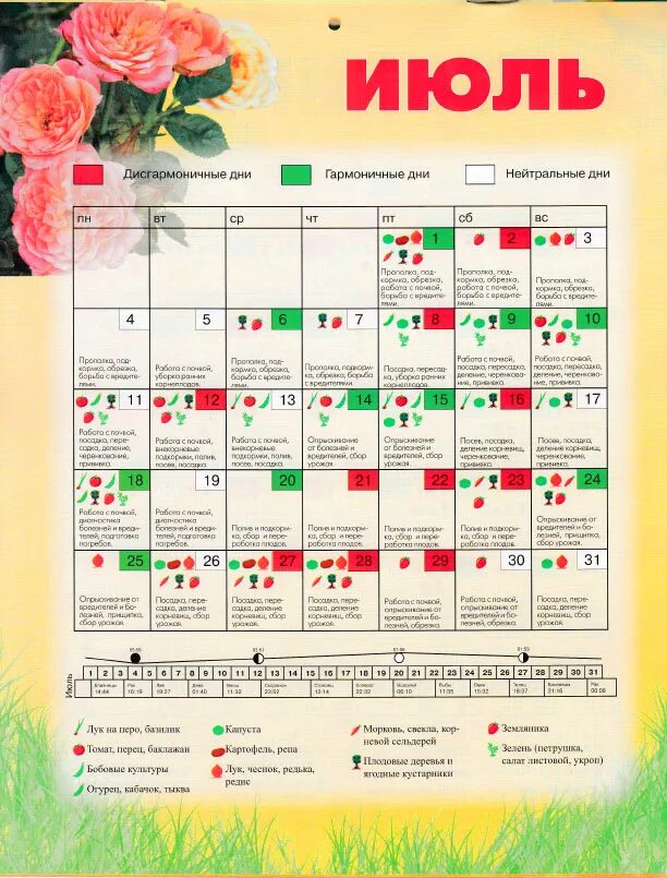 Лунный календарь огородника июль. Посадочные дни в июле. Посадочные дни цветов в июле. Календарь садовода на июль. Благоприятные дни для посадки в июле.