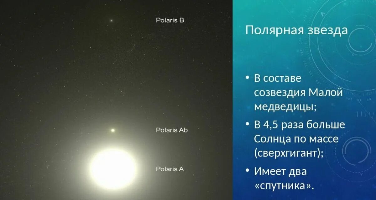 Звезда в 2 раза больше солнца. Полярная звезда сверхгигант. Полярная звезда двойная звезда. Состав полярной звезды. Двойные и кратные системы звезд.